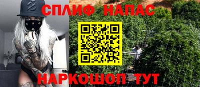 PSILOCYBIN Нальчик