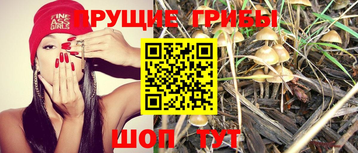 Советский  Галлюциногенные грибы MAGIC MUSHROOMS  Вход с VPN  Псилоцибиновые грибы Cubensis 