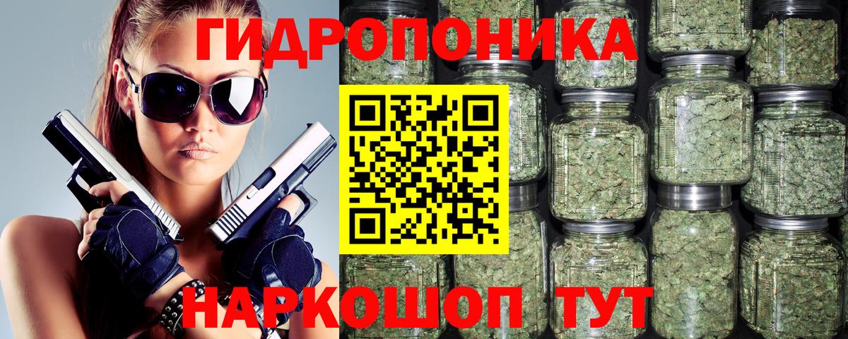 Шишки марихуана конопля Советский